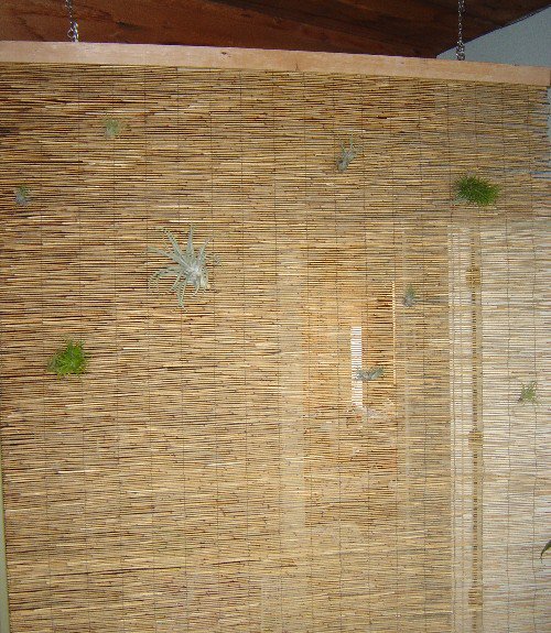 Thrift Shop Dividing Walls To Transform Your Space Thrift Shop Dividing Walls To Transform Your Space